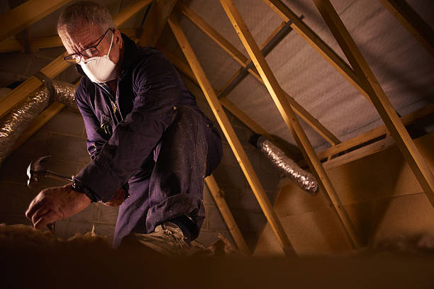 Best Insulation Installation Services in Walker Mill, MD